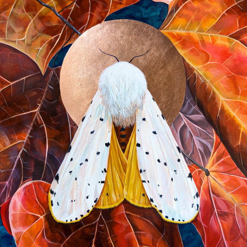 Moth & Butterfly Paintings