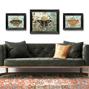 set of 3 symbolic moth magnolia paintings