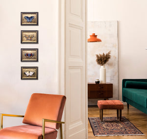 4 small gold butterfly paintings on wall