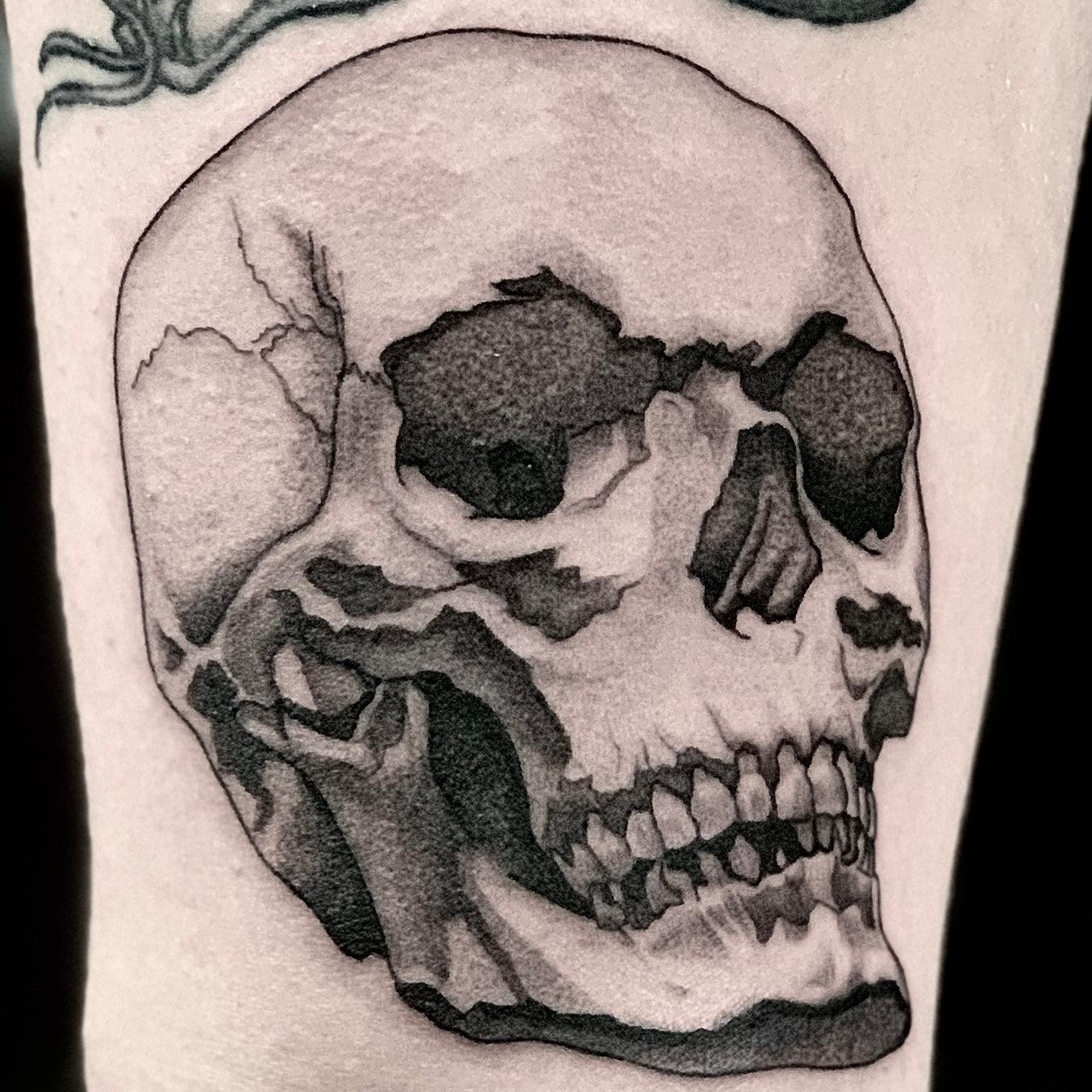 Illustrative realism skull tattoo by Danny Schreiber