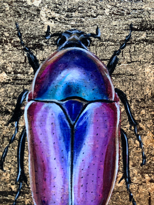 purple jewel beetle aether element painting detail