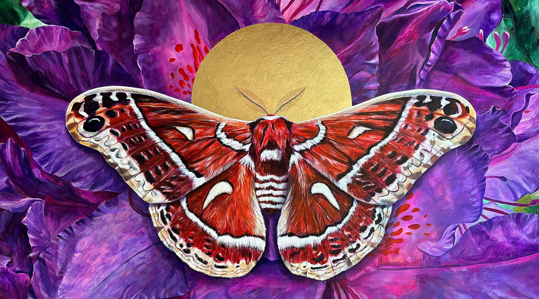 Moth painting art by Aimee Schreiber