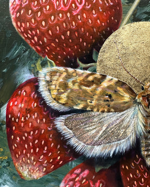 "Allow" Strawberry Tortrix Moth Painting