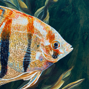 angelfish painting detail