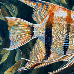 angelfish painting scale detail