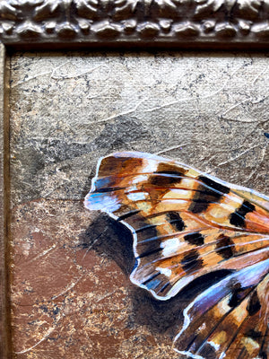 anglewing butterfly painting with gold leaf wing detail