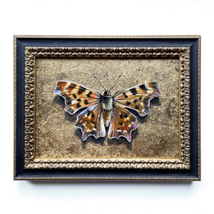 anglewing butterfly painting with gold leaf