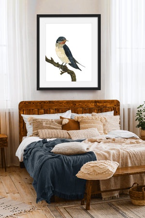 barn swallow watercolor bird art print in bedroom