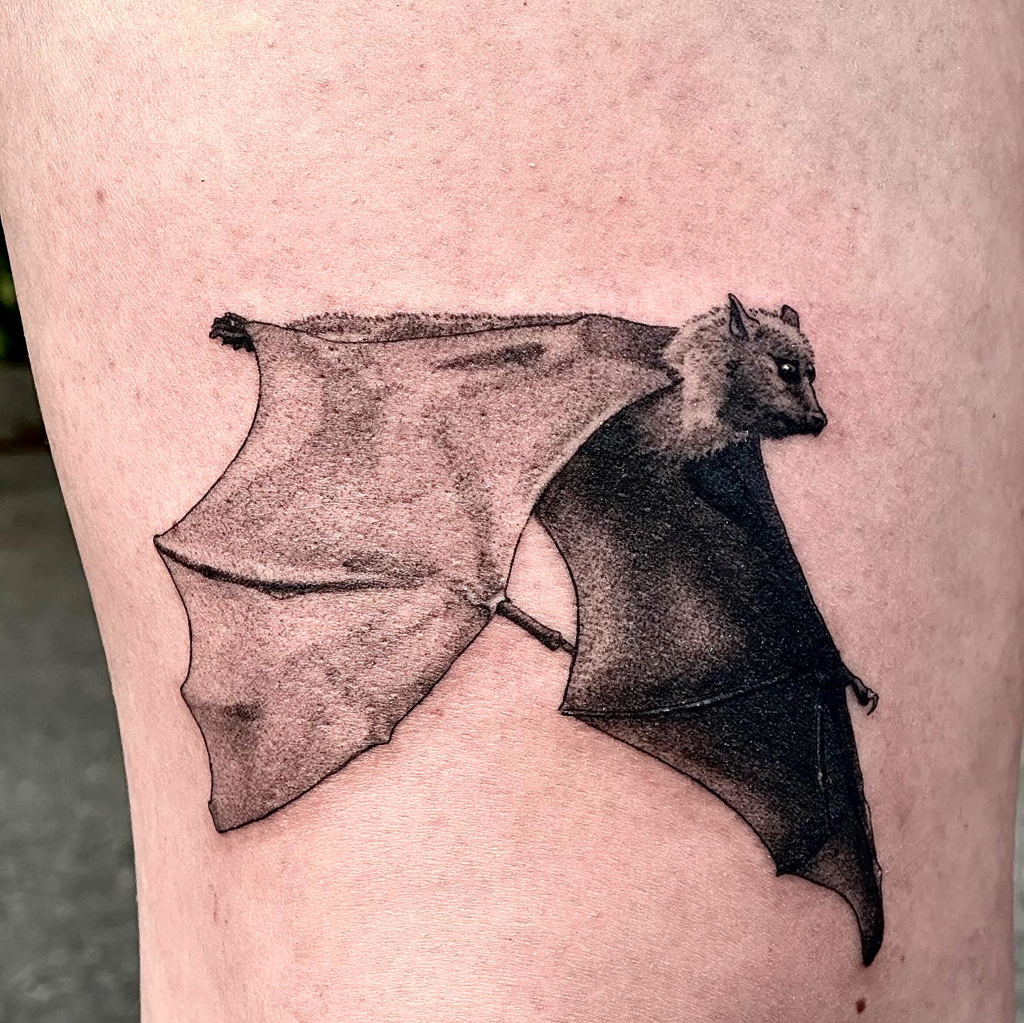 bat tattoo by Danny Schreiber