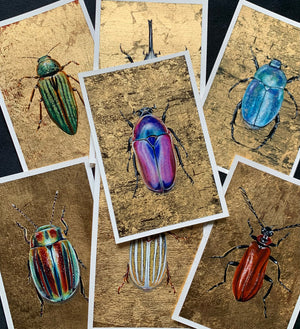 beetle paintings with gold leaf