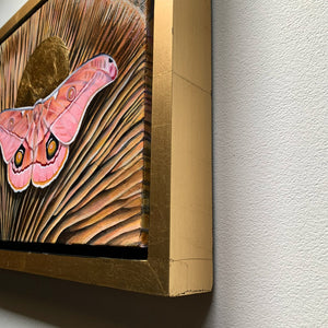 pink emperor gum moth mushroom painting in gold float frame detail