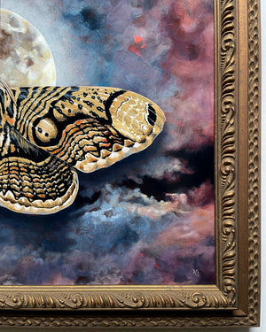 Wallich's owl moth full moon painting ornate frame detail by Aimee Schreiber