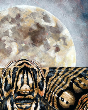Wallich's owl moth full moon painting detail