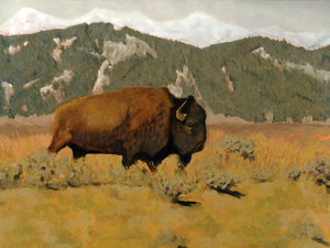 "Grace in Every Scar" Bison Art Print