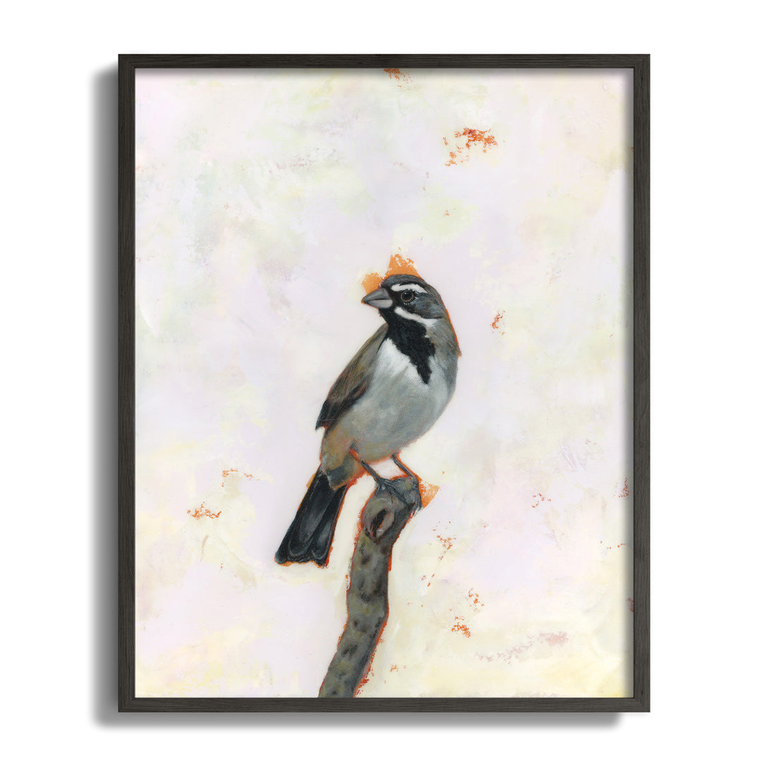 black-throated sparrow art print
