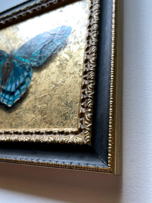 blue butterfly painting with gold leaf frame detail