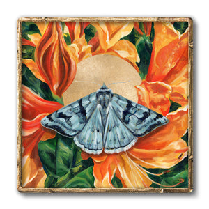 cerulean looper moth orange rhododendron art print in gold frame