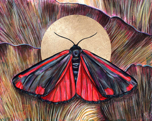 'Communion' red cinnabar moth and mushroom art print