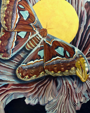 atlas moth painting detail