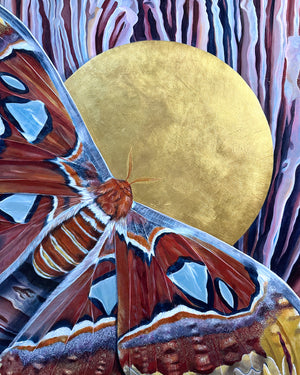atlas moth painting gold leaf detail