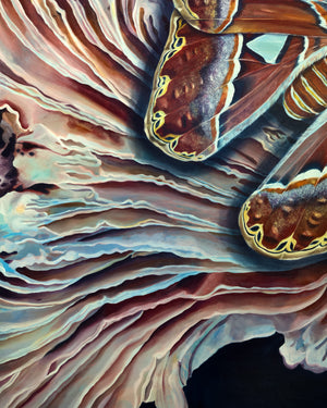 atlas moth painting texture detail