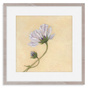 cosmo flower art print in frame
