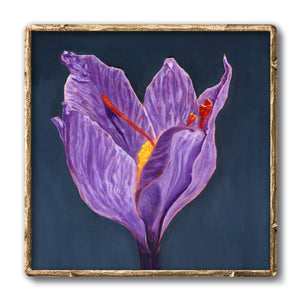 crocus purple flower art print in frame