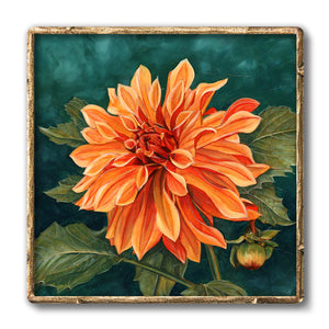 dahlia orange flower art print