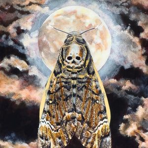 death's head moth full moon painting by Aimee Schreiber detail