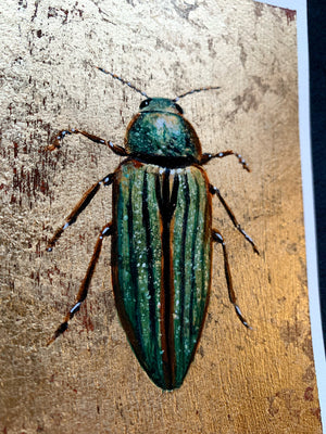 green golden jewel beetle | small gold leaf painting