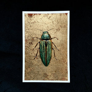 earth element: small green golden jewel beetle painting