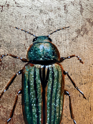 green golden jewel beetle painting detail