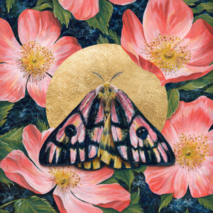 elegant sheepmoth wild rose art print