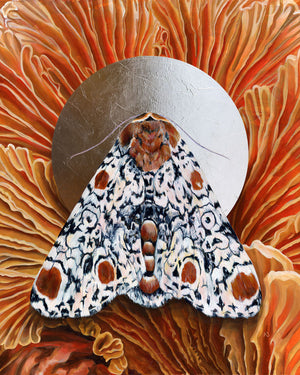 'Everything' Harris 3-spot moth orange mushroom art print