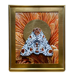 harris three spot moth and mushroom painting in gold leaf frame