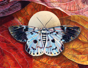 blue tiger moth leaves art print unframed