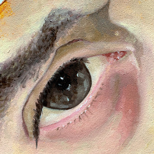 brown eye painting detail