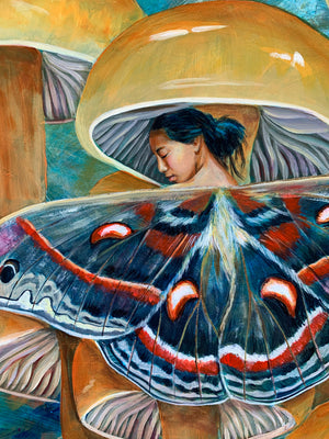 fairy mushroom painting cecropia moth wings detail