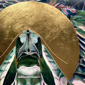 pandora sphinx moth fern painting gold leaf detail