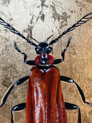 "Fire Element" Beetle Painting