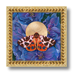 garden tiger moth art print blue delphinium flowers in gold frame 10 inch