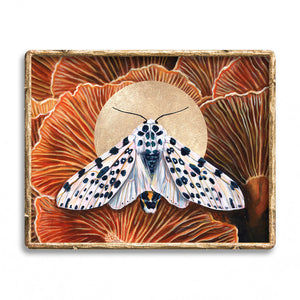 'Connection' giant leopard moth mushroom art print
