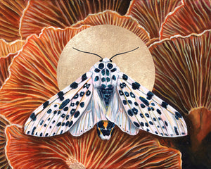 'Connection' giant leopard moth mushroom art print