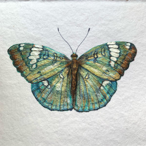green grand duchess butterfly painting shimmer detail