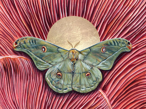 'Harmony' copaxa lavendera green moth pink mushroom art print 30 x 40 inches