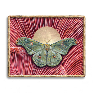 'Harmony' copaxa lavendera green moth pink mushroom art print