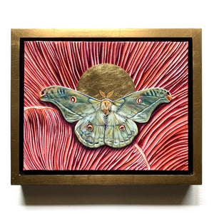 copaxia lavendera green moth mushroom painting in gold float frame
