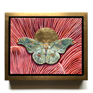 copaxia lavendera green moth mushroom painting in gold float frame