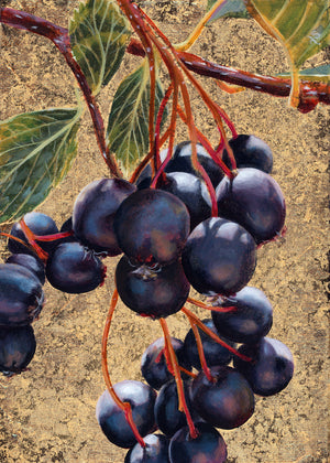 "Life Needs Death" Hawthorn Berry Art Print