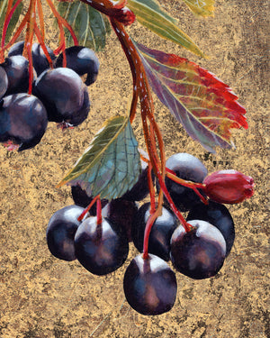 "Lungs Need Breath" Hawthorn Berry Art Print
